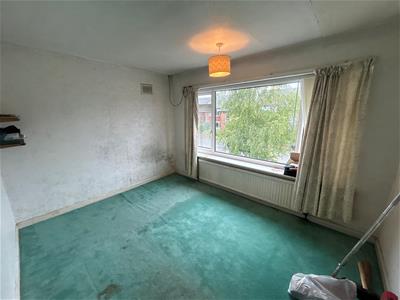 Picture 17